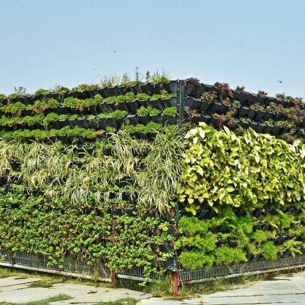 giardini verticali