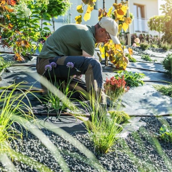 Cosa comprende la manutenzione del verde guida completa ai servizi per giardini e parchi