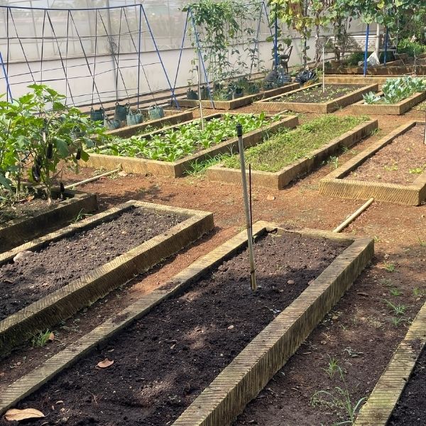 Progettazione di giardini a basso impatto ambientale soluzioni ecologiche e sostenibili