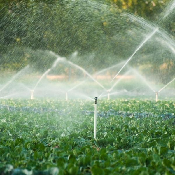 Sistemi di irrigazione sostenibili risparmio idrico e cura del giardino